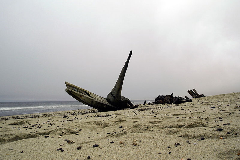 Skeleton Coast Ship Wreck