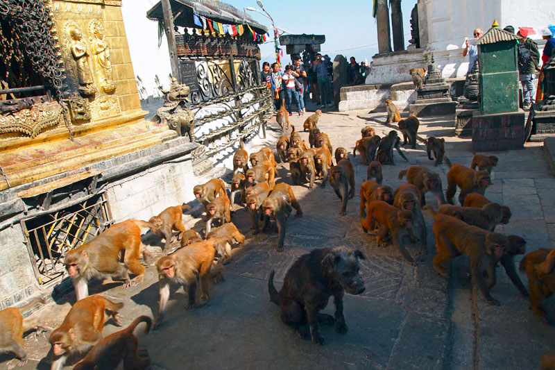 Swayambhunath