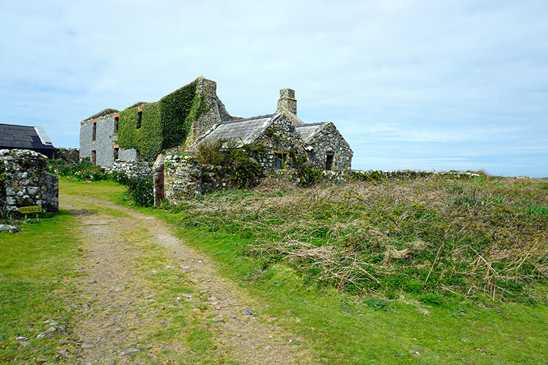 Skomer farmhouse