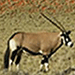 Namibia