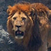 Tanzania